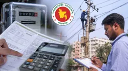 অতিরিক্ত বিদ্যুৎ বিলের অভিযোগের তথ্য চাইল সরকার