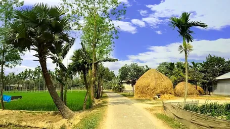 বাংলাদেশ