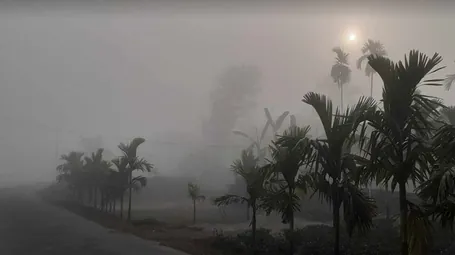 শীত