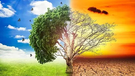 জলবায়ু পরিবর্তন