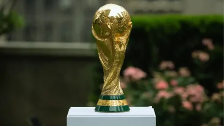 বিশ্বকাপ ফুটবল