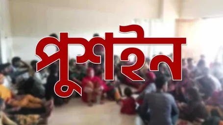 পুশইন