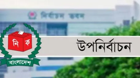উপনির্বাচন