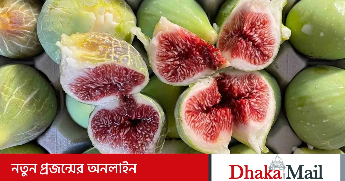 ডুমুরের যত স্বাস্থ্য উপকারিতা