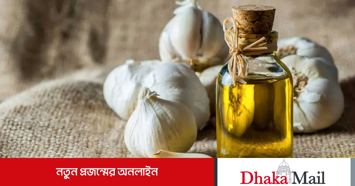 রসুনের তেল: বহু রোগের দাওয়াই