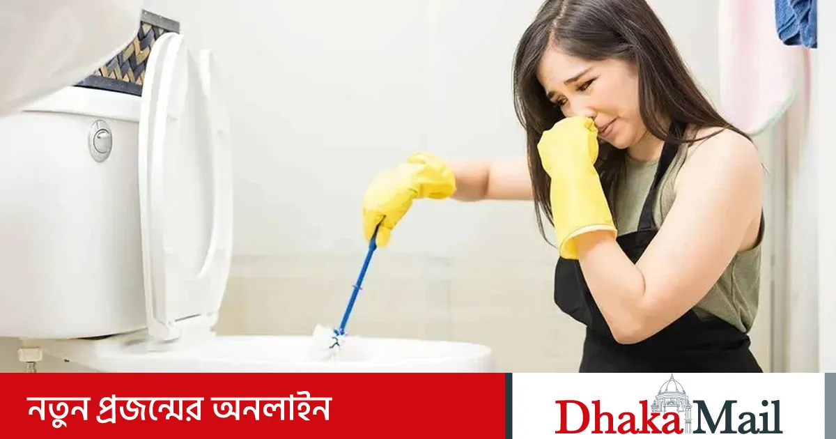 Braziliya jinsiy diskoteka onlayn