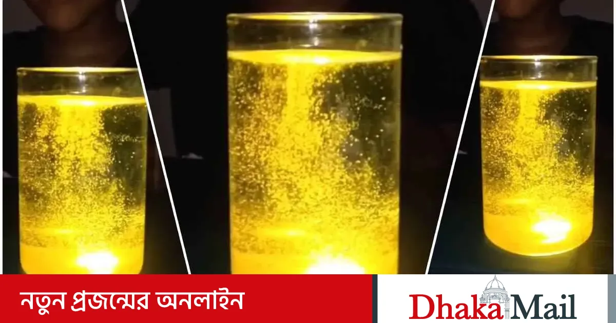 Ayol mushukining jinsiy makro suratga olishi