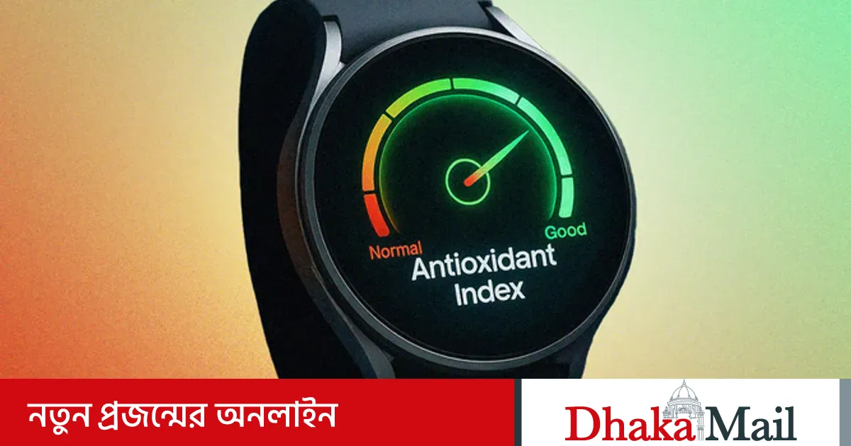 Жағажайдағы кабинада аңдыды