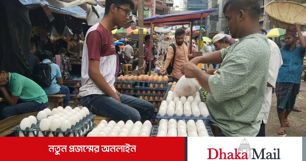 এক বাজারে দুই চিত্র: ছোট ডিমের ডজন ৮০, বড় ডিম ১৩০