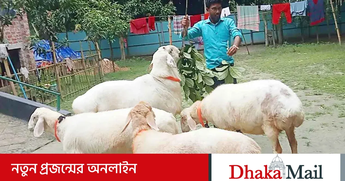 Transseksual qizlar, sikli qizlar Qalam chizish, qalam grafikasi, seksual qizlar